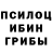 Галлюциногенные грибы мухоморы Daemonic Tera