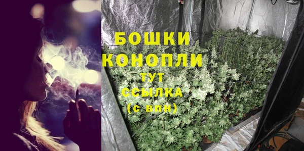 соль ск Абаза