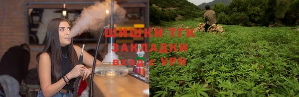 соль ск Абаза
