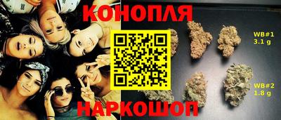 гидра Аргун
