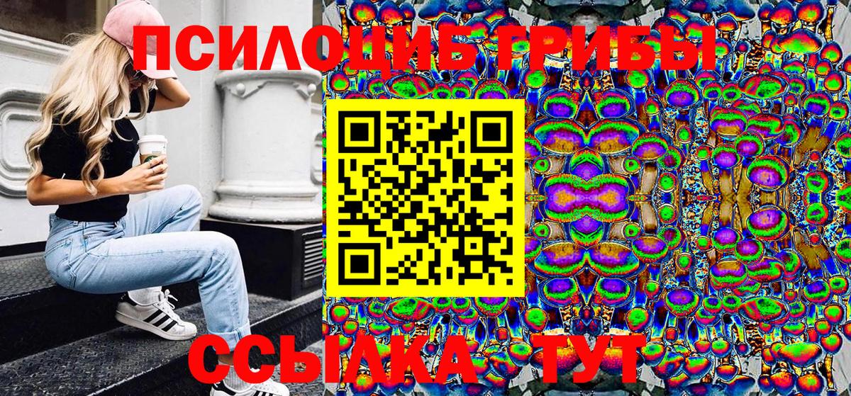 Псилоцибиновые грибы Psilocybe Владикавказ