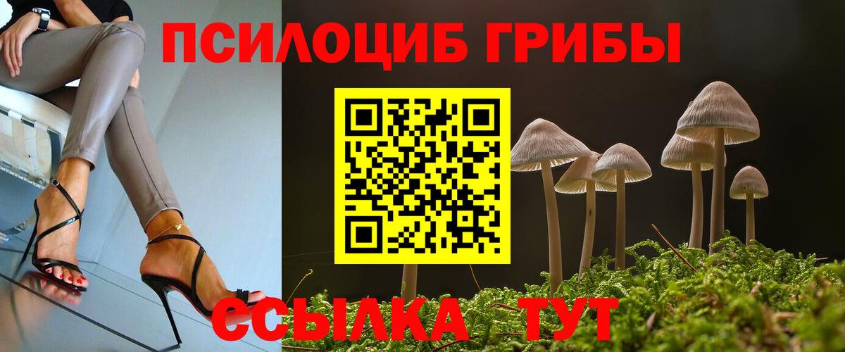 Владикавказ  Галлюциногенные грибы Cubensis  Вход с VPN 