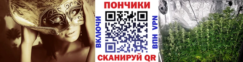 Каннабис планчик Владикавказ